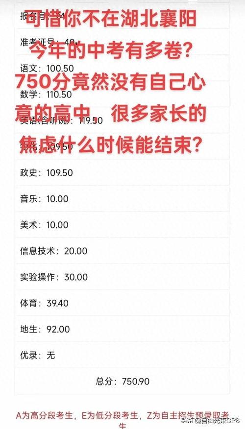襄阳头条中考最新爆料,揭秘2024中考政策与趋势