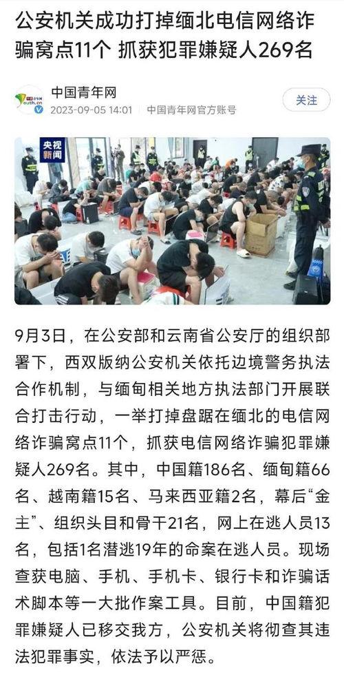 缅北最新爆料新闻视频大全,新闻视频大全深度解析