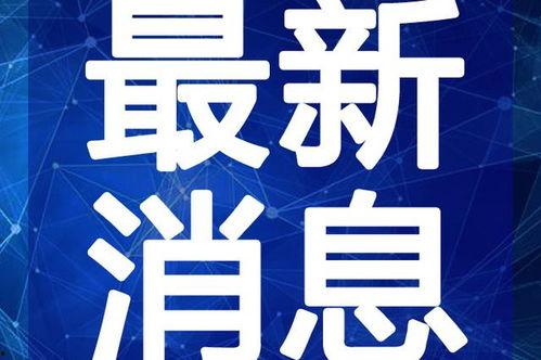 成都画室爆料视频最新,揭秘艺术培训行业背后的真相